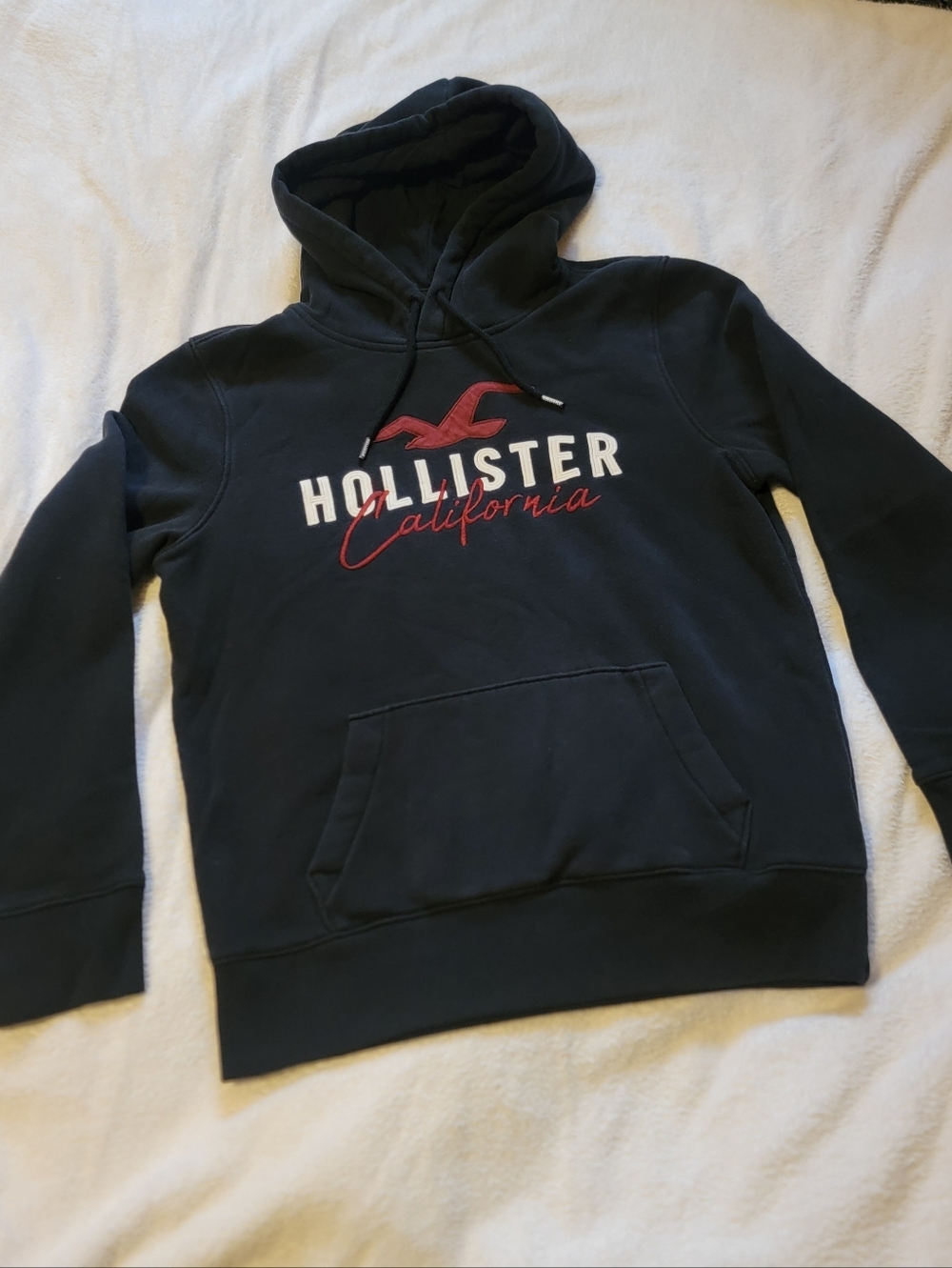 Hollister Mens Large Logo Black Hoodie